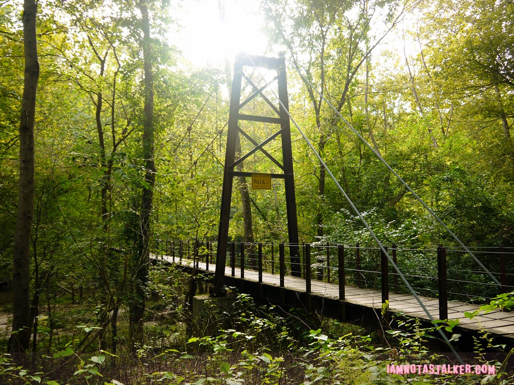 Patapsco Valley State Park from Serial-1170463