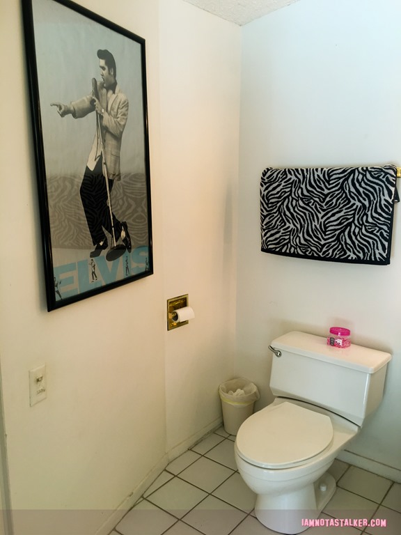The Elvis Honeymoon Hideaway Tour-1134