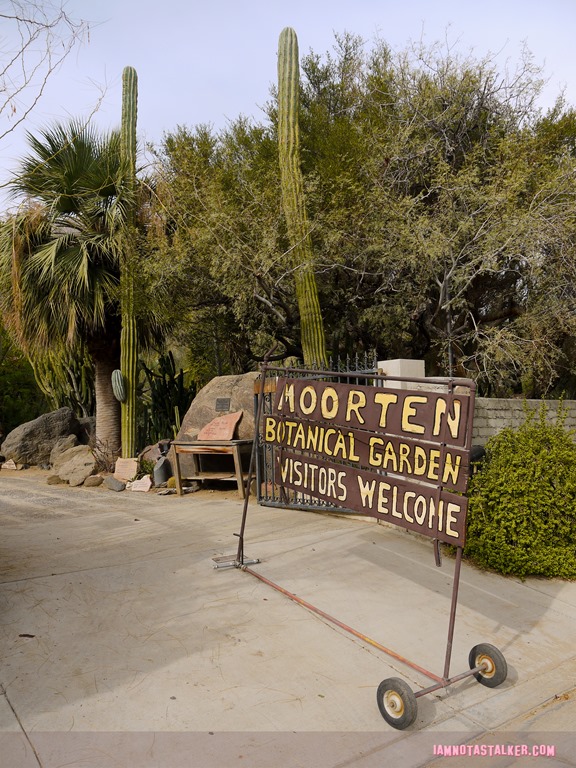 Moorten Botanical Garden from Rescue 911-1130205