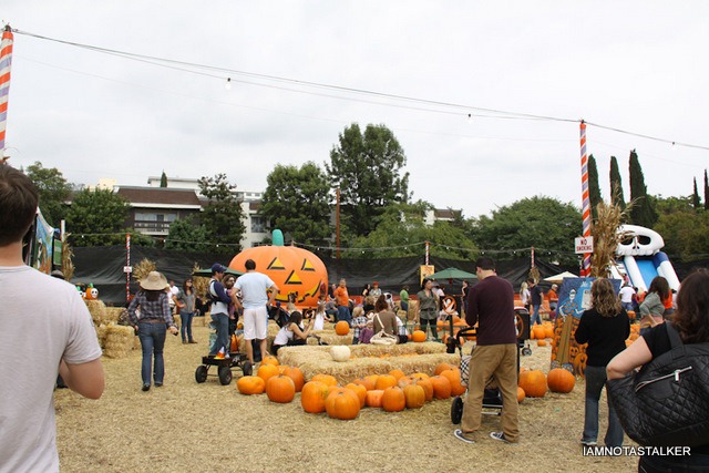 Mr-Bones-Pumpkin-Patch-8