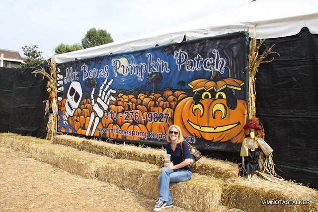 Mr-Bones-Pumpkin-Patch-11
