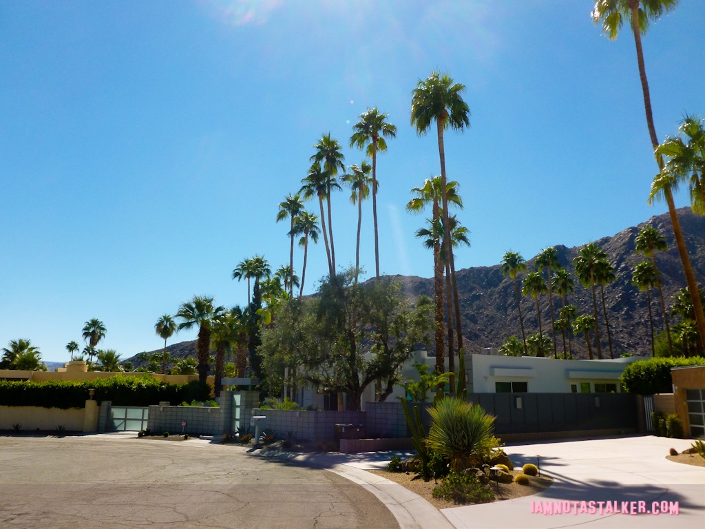 George Nader House (1 of 16)