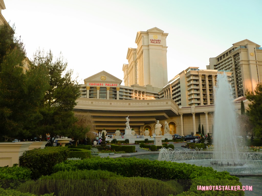 Caesar's Palace The Hangover (28 of 33)