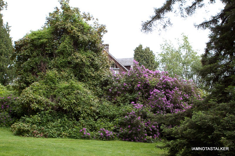 Nirvana-Kurt-Cobains-House-In-Seattle-13
