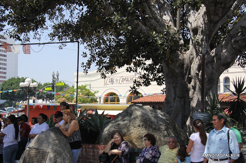 90210-cabo-olivera-street-8