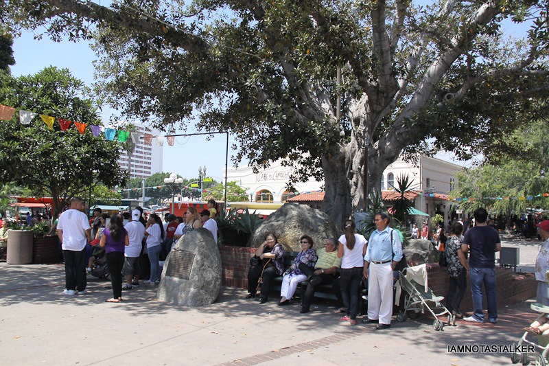 90210-cabo-olivera-street-10