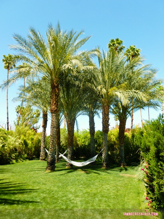 Parker Palm Springs hotel (12 of 35)