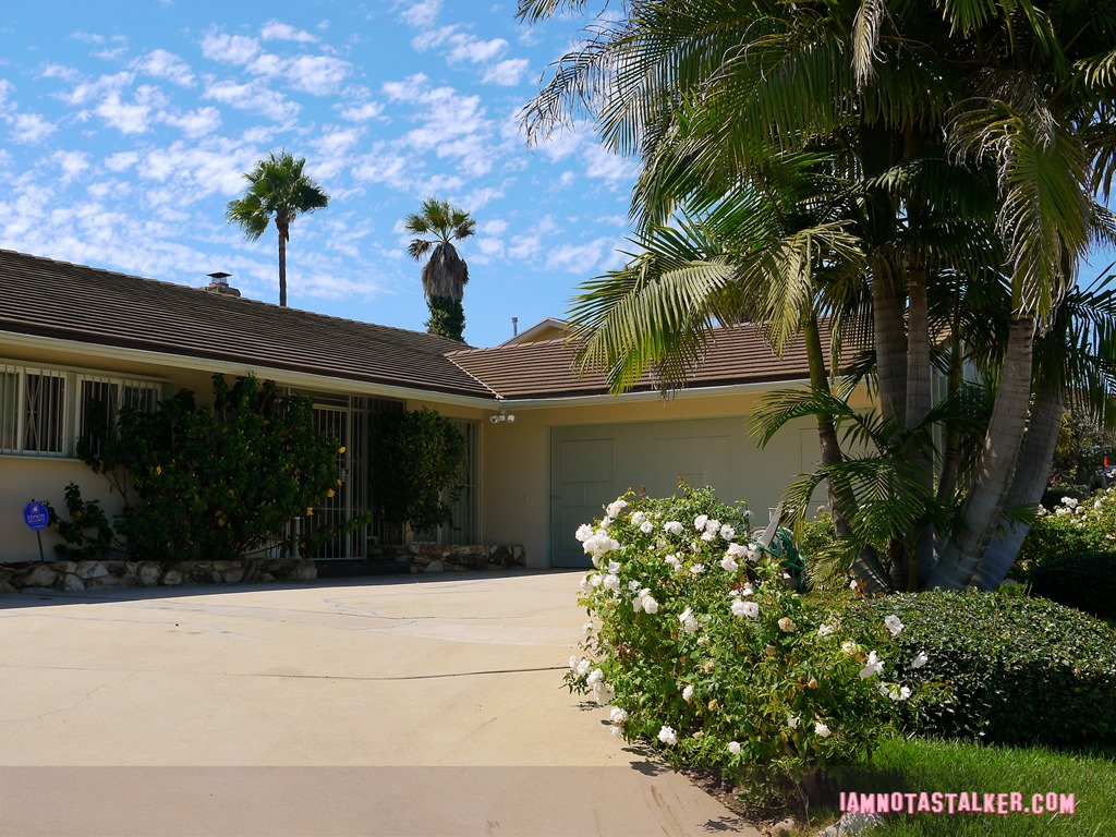 Behind the Candelabra House (7 of 12)