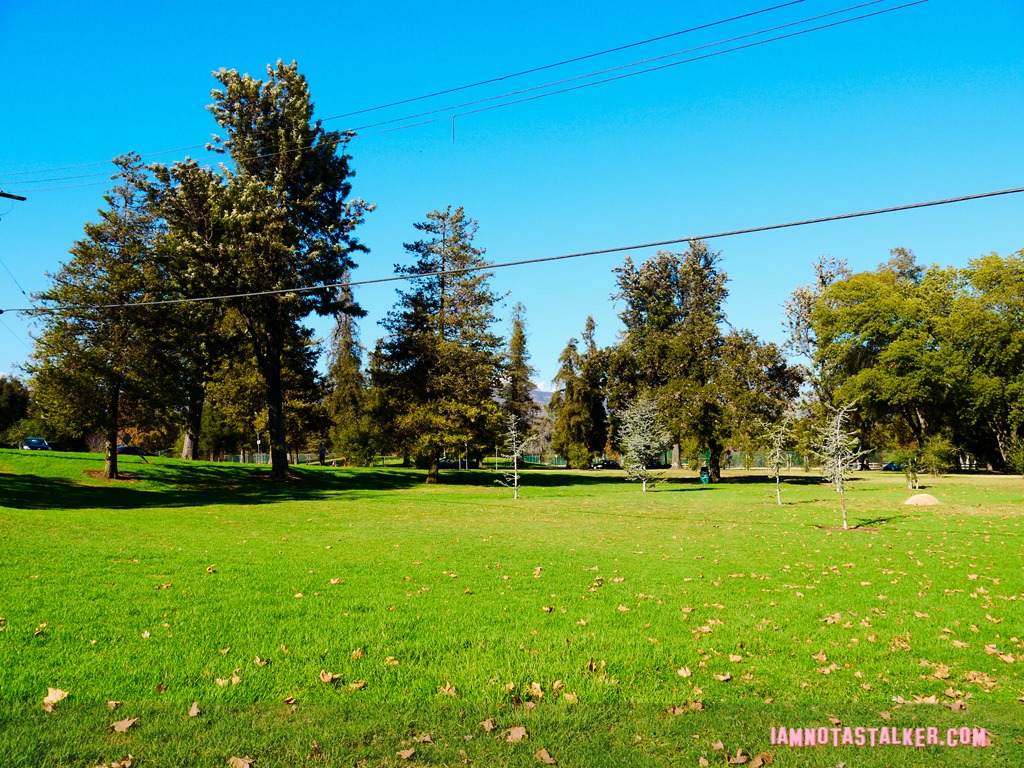 Griffith Park Full House (9 of 18)