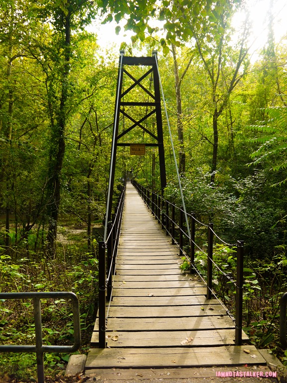 Patapsco Valley State Park from Serial-1170454