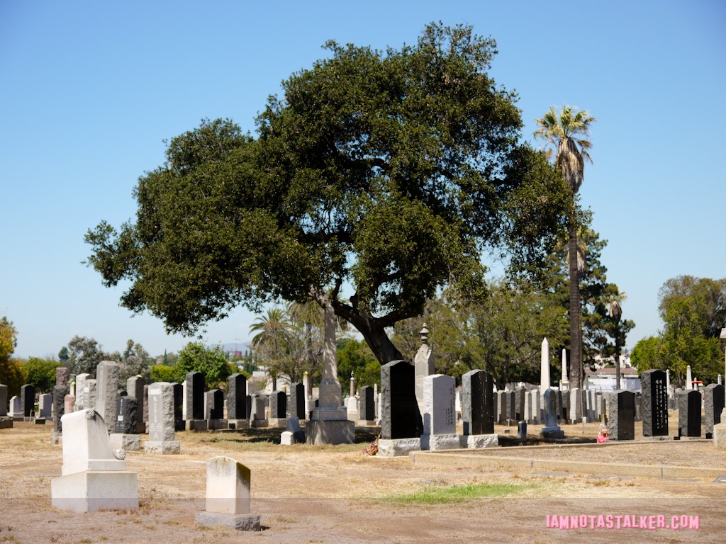 A Nightmare On Elm Street Cemetery (31 of 48)