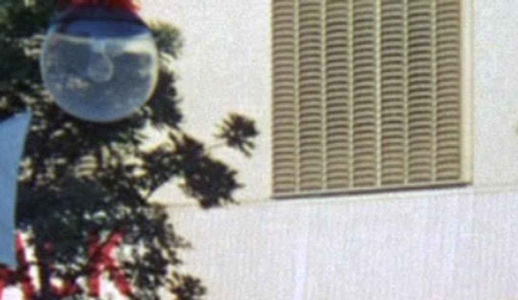 Brady Bunch Cap Close Up