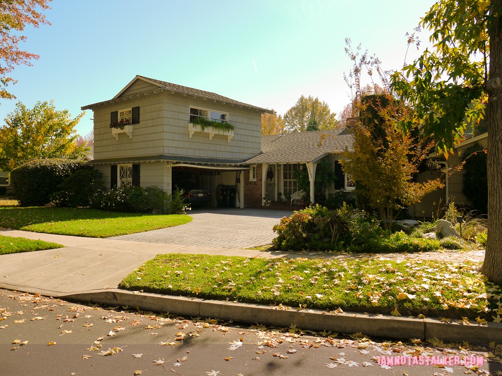 Parks and Recreation Halloween House (3 of 3)