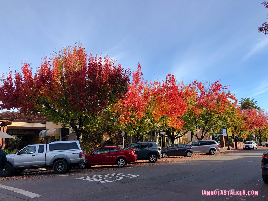 Healdsburg Town Plaza from Scream (4 of 12)