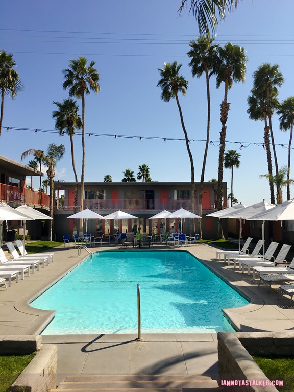 Skylark Hotel from Palm Swings-6530