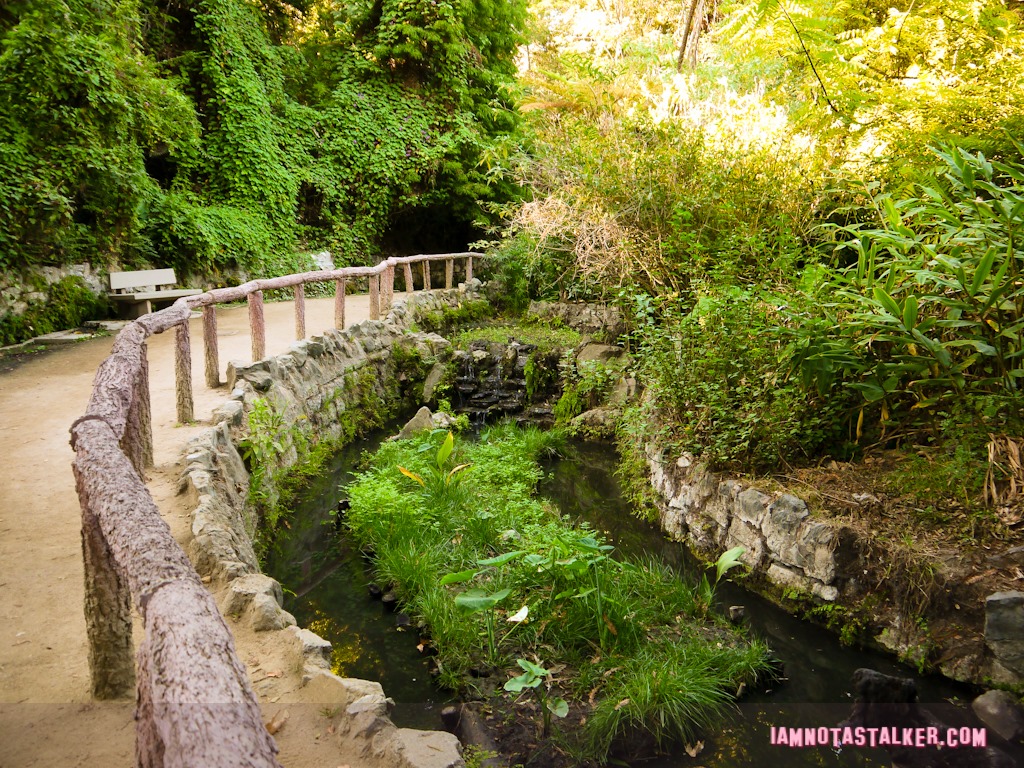 Fern Dell (23 of 32)
