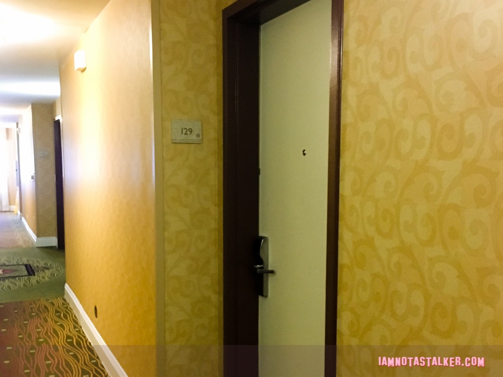 Hilton Garden Inn from Veep-3735