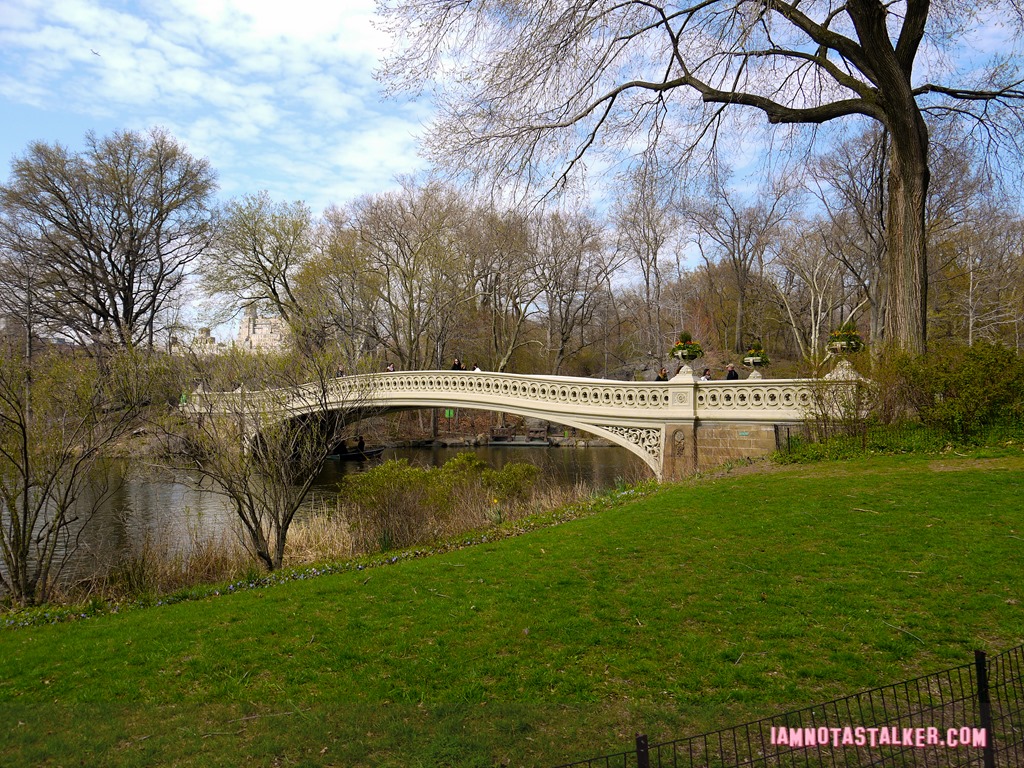 Bow Bridge from Glee-1140158