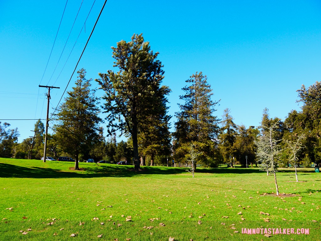 Griffith Park Full House (7 of 18)