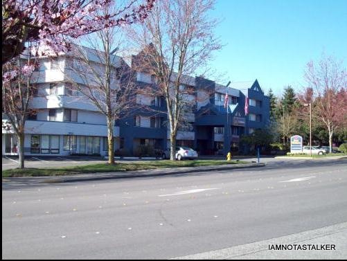 Best Western Alderwood - Michael Buble