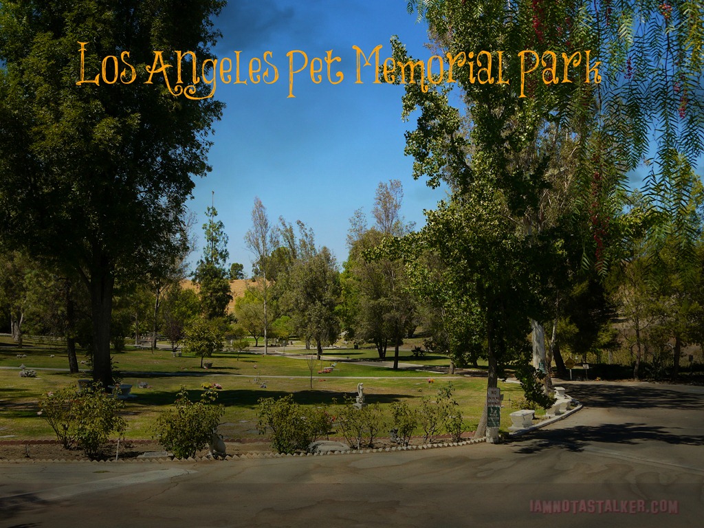 Los Angeles Pet Memorial Park (32 of 33)