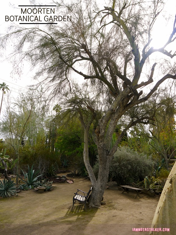 Moorten Botanical Garden from Rescue 911-1130180