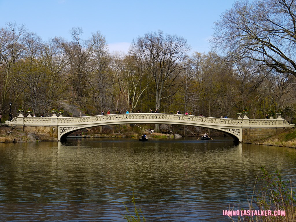 Bow Bridge from Glee-1140153