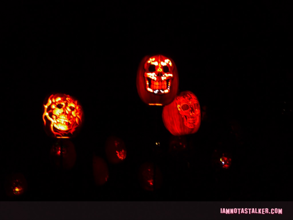 RISE of the Jack O'Lanters 2014 (60 of 71)