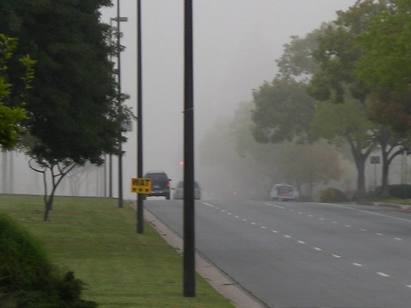 dscn0313.jpg
