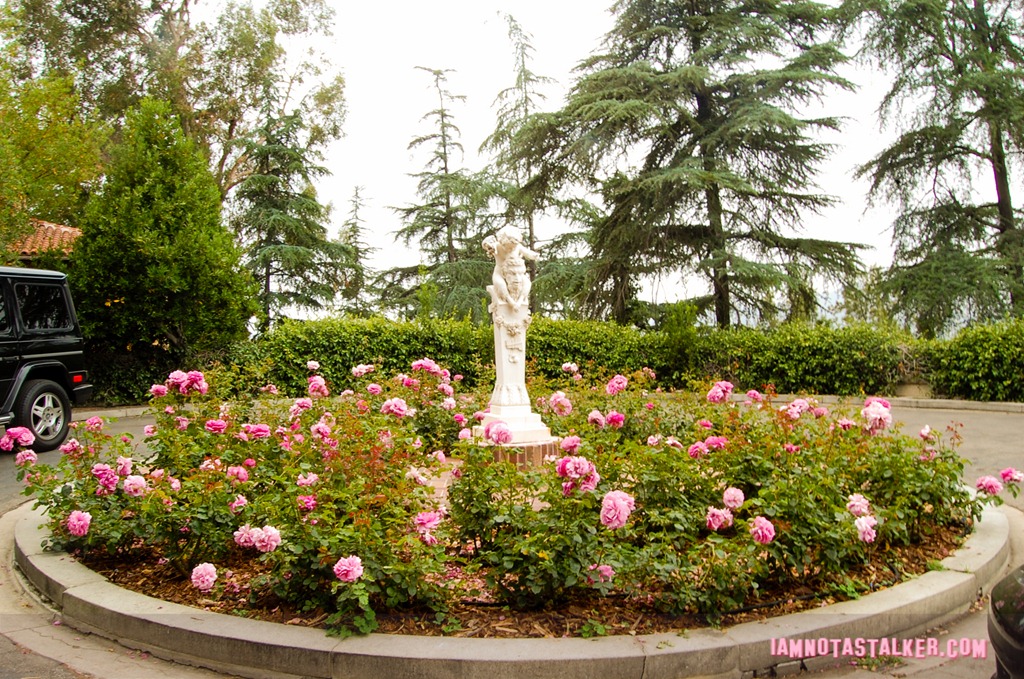 Canfield-Moreno estate (2 of 27)