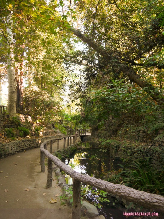 Fern Dell (29 of 32)