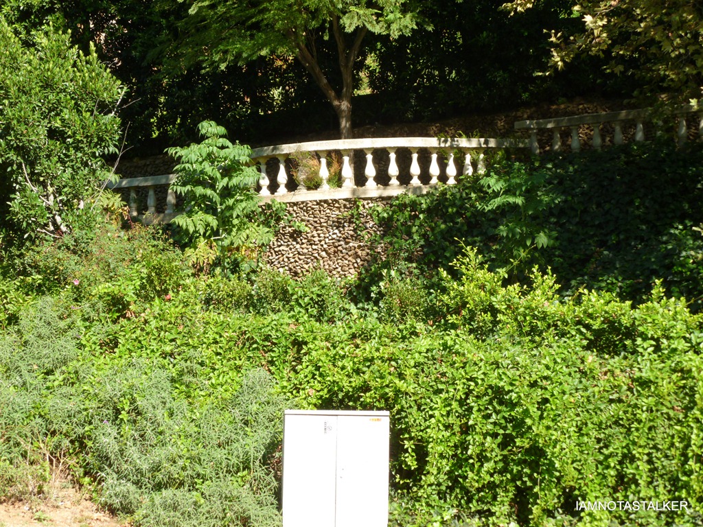 P1010259