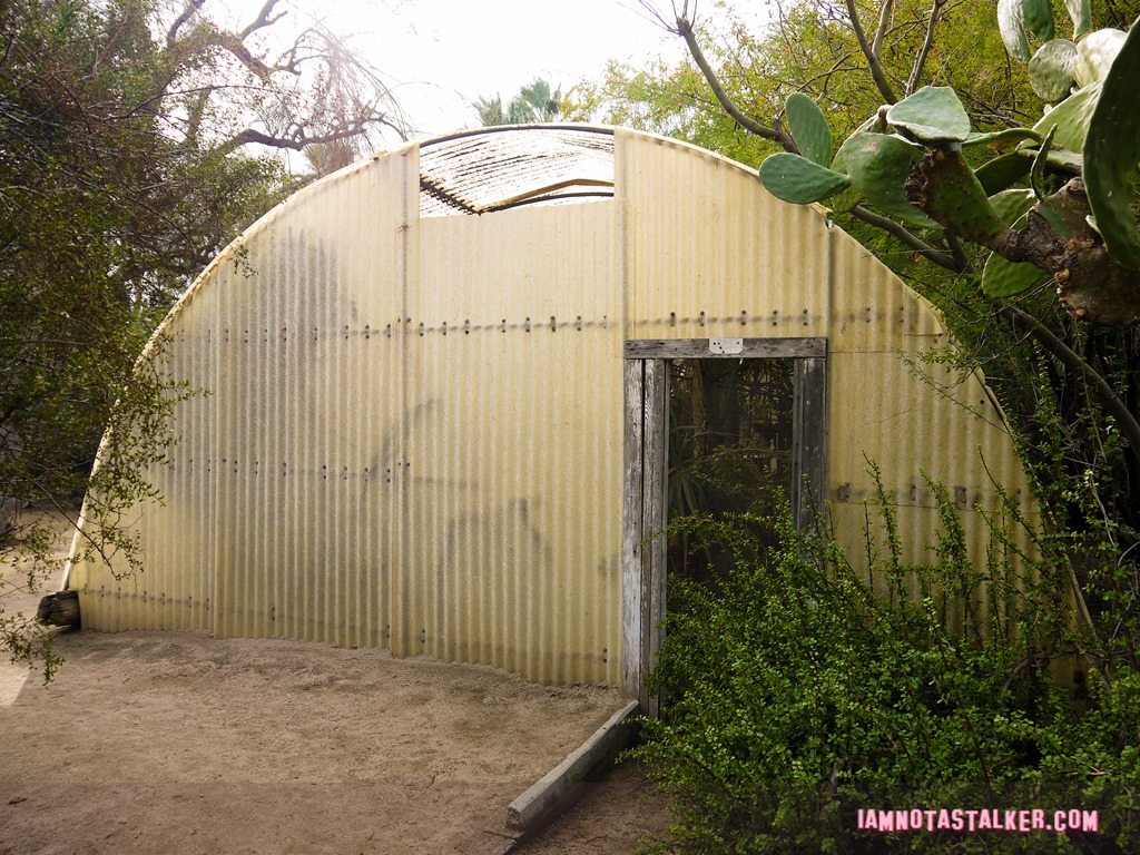 Moorten Botanical Garden from Rescue 911-1130179