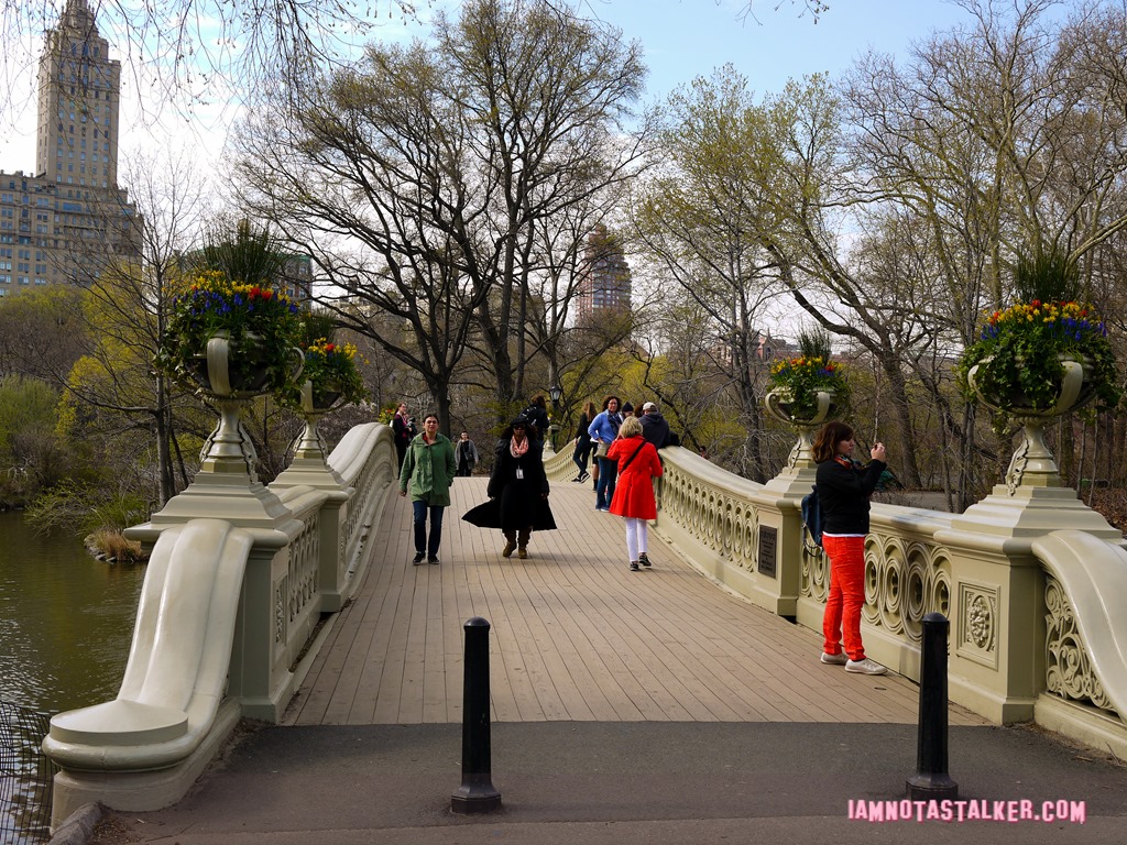 Bow Bridge from Glee-1140173