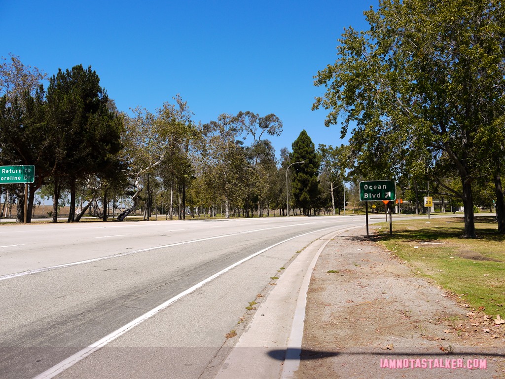 101 Freeway Scream 3-1160309