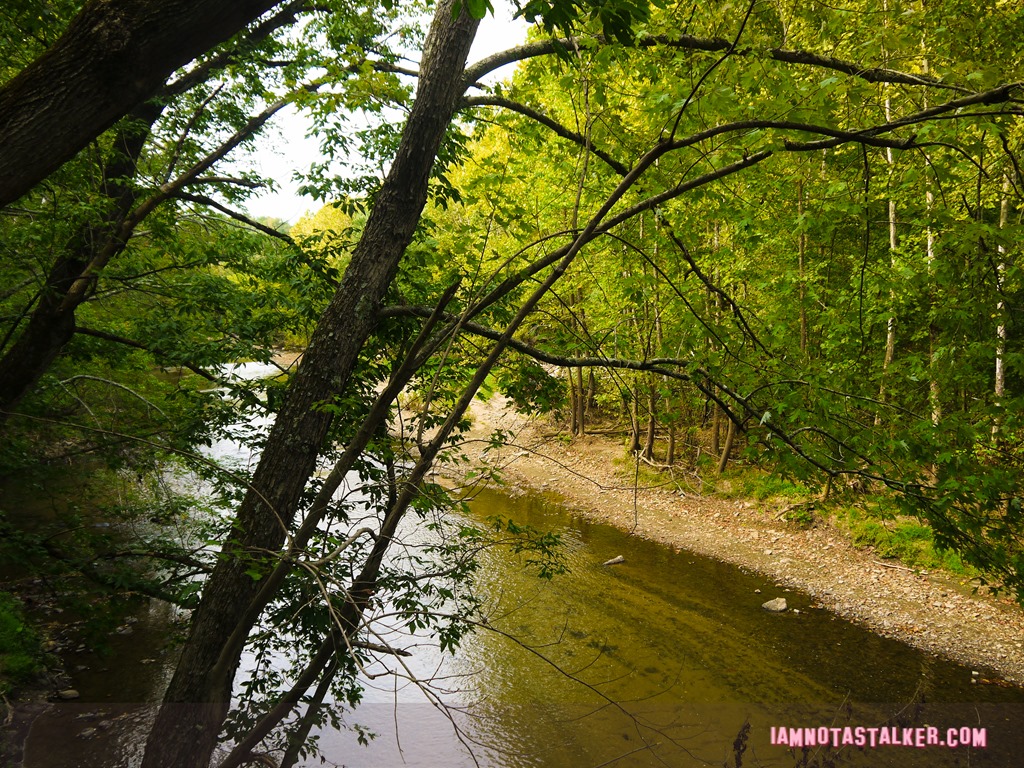 Patapsco Valley State Park from Serial-1170446