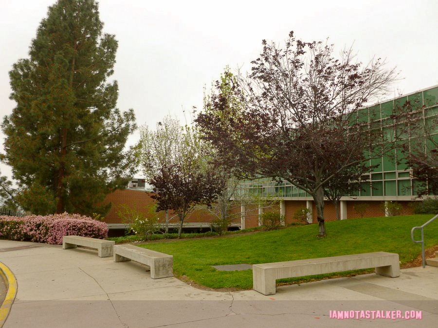 Clark Magnet High School Our House-1040043