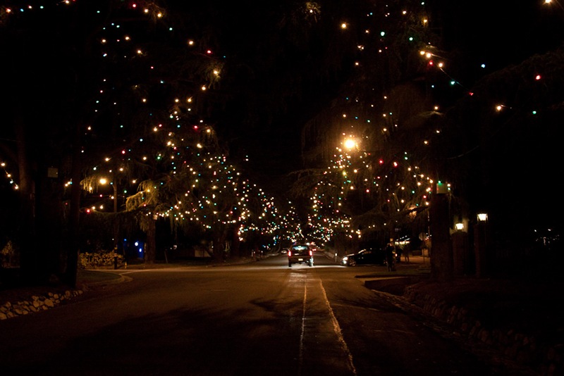 Christmas-Tree-Lane-Altadena-6
