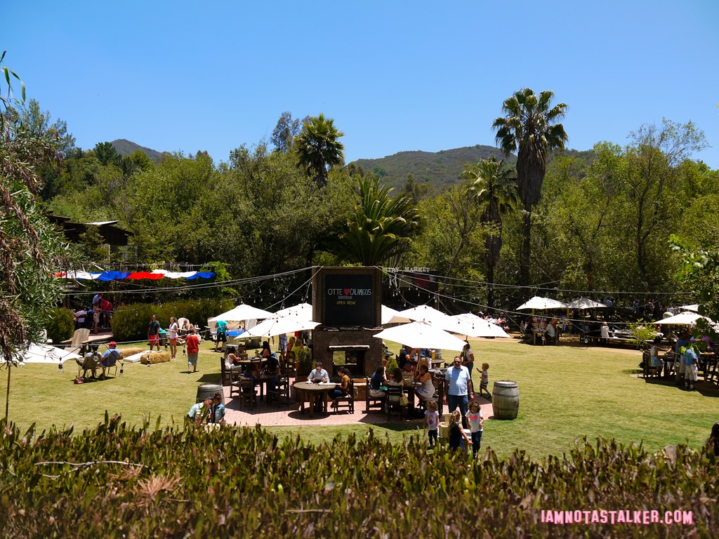 Malibu Cafe (4 of 11)