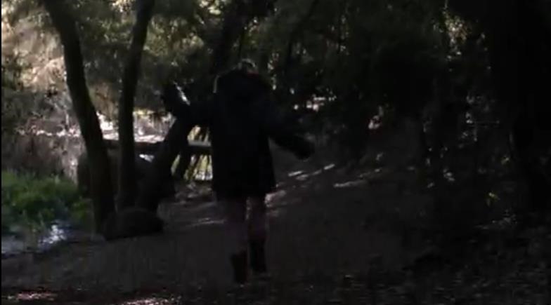 ScreenShot271