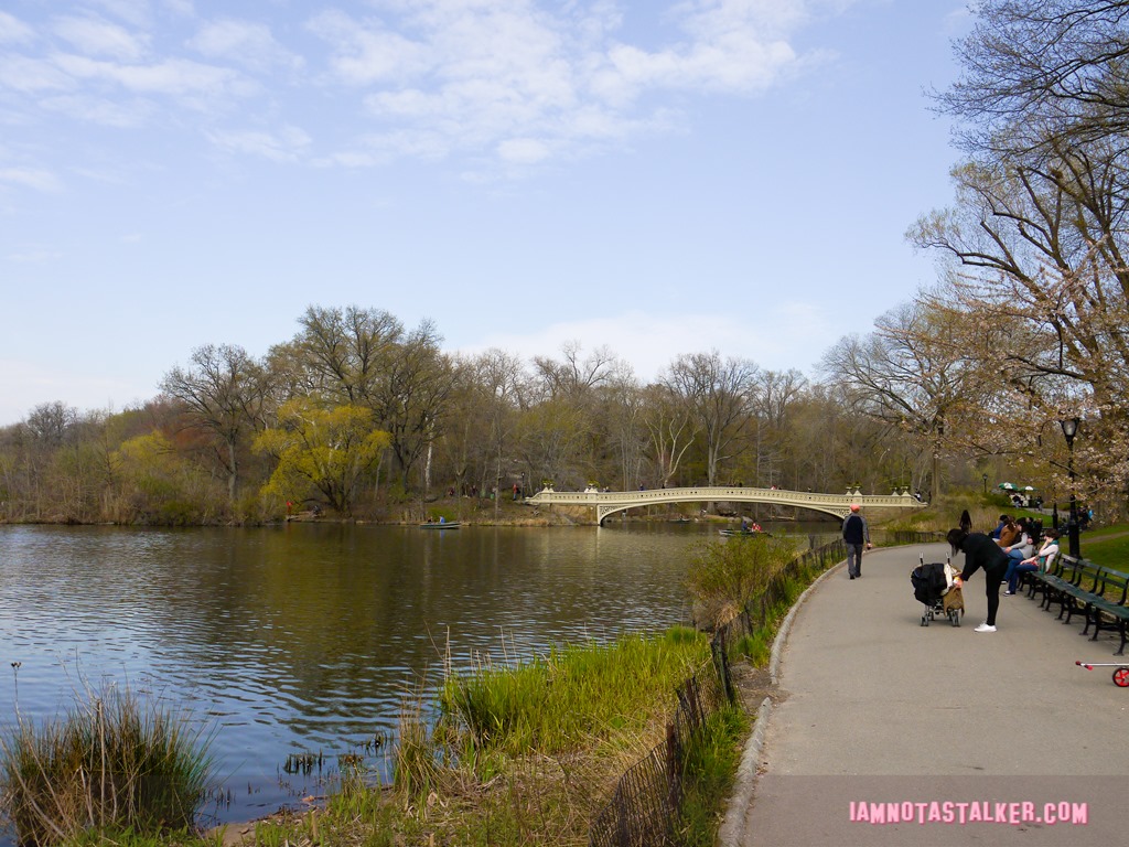 Bow Bridge from Glee-1140145
