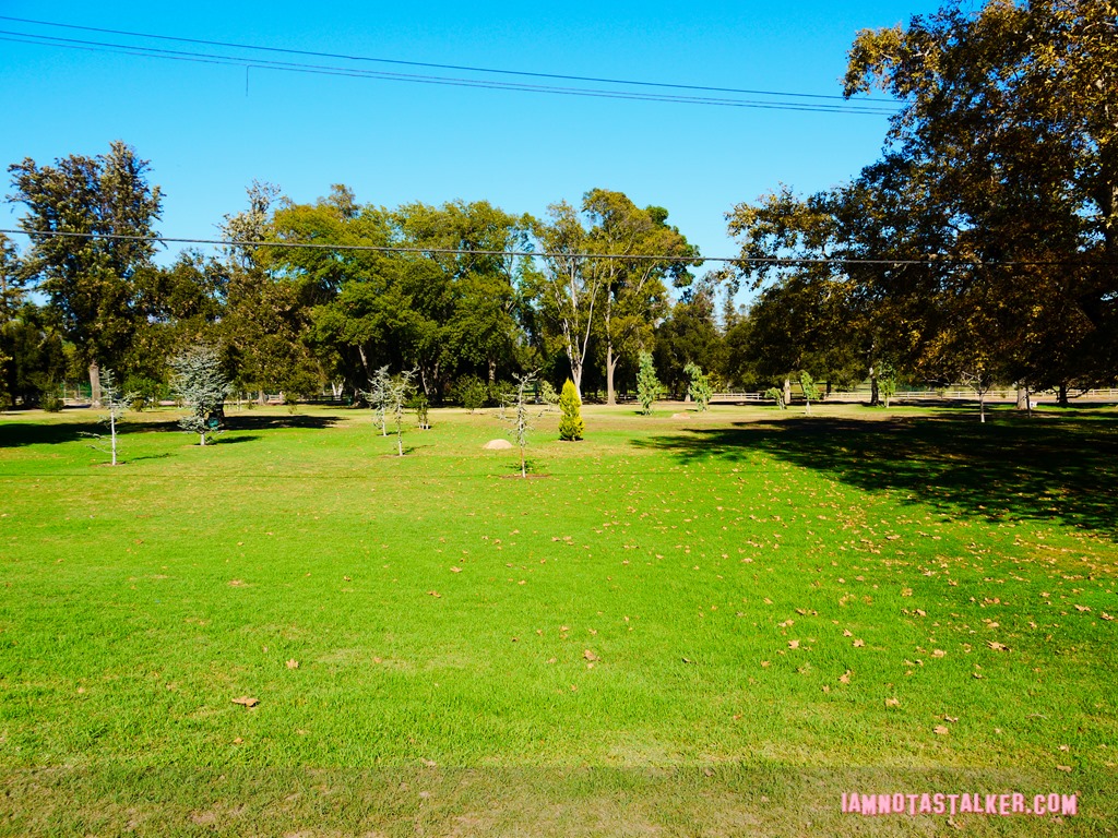 Griffith Park Full House (12 of 18)