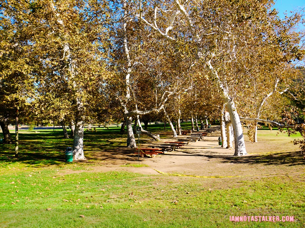 Griffith Park Full House (13 of 18)