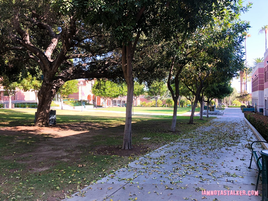 Woodbury University from Brooklyn Nine-Nine (11 of 32)