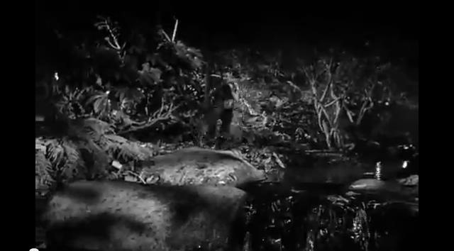 ScreenShot329