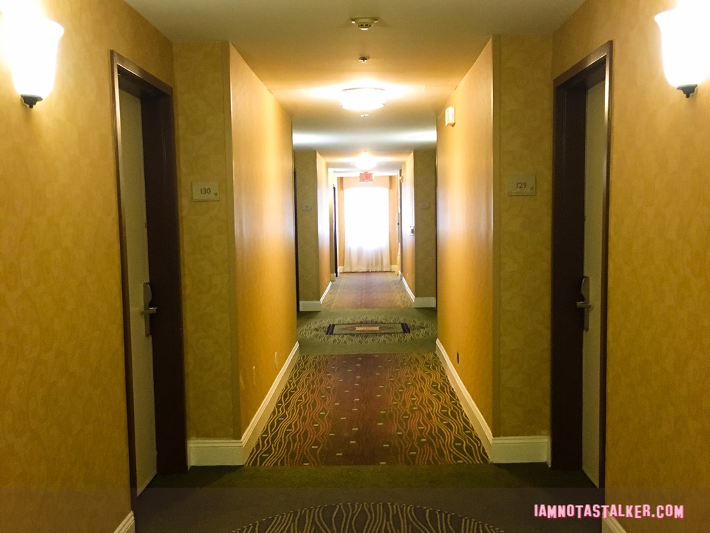 Hilton Garden Inn from Veep-3732
