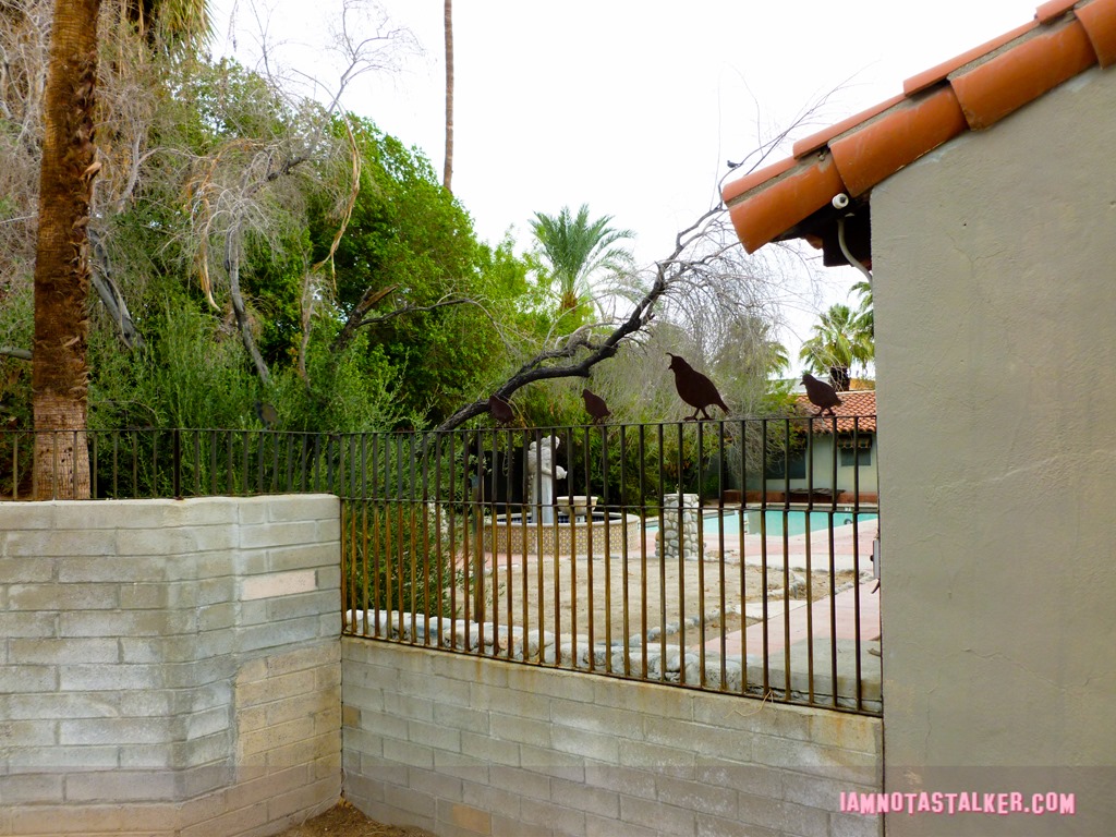 The Orchid Tree Inn Palm Springs (21 of 49)