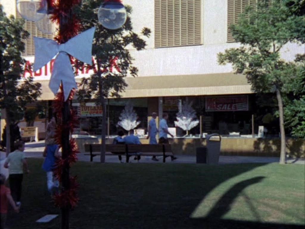 Brady Bunch Cap 5