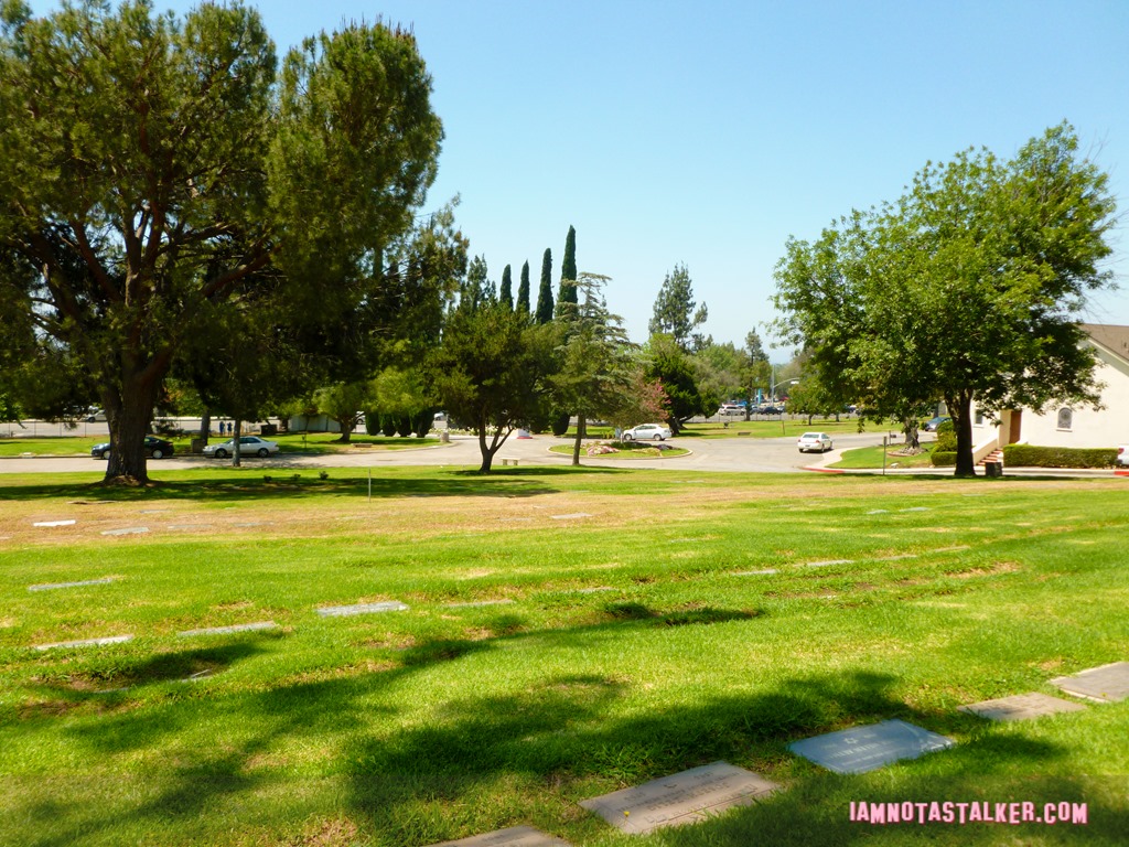 Don't Tell Mom the Babysitter's Dead Mortuary (12 of 21)