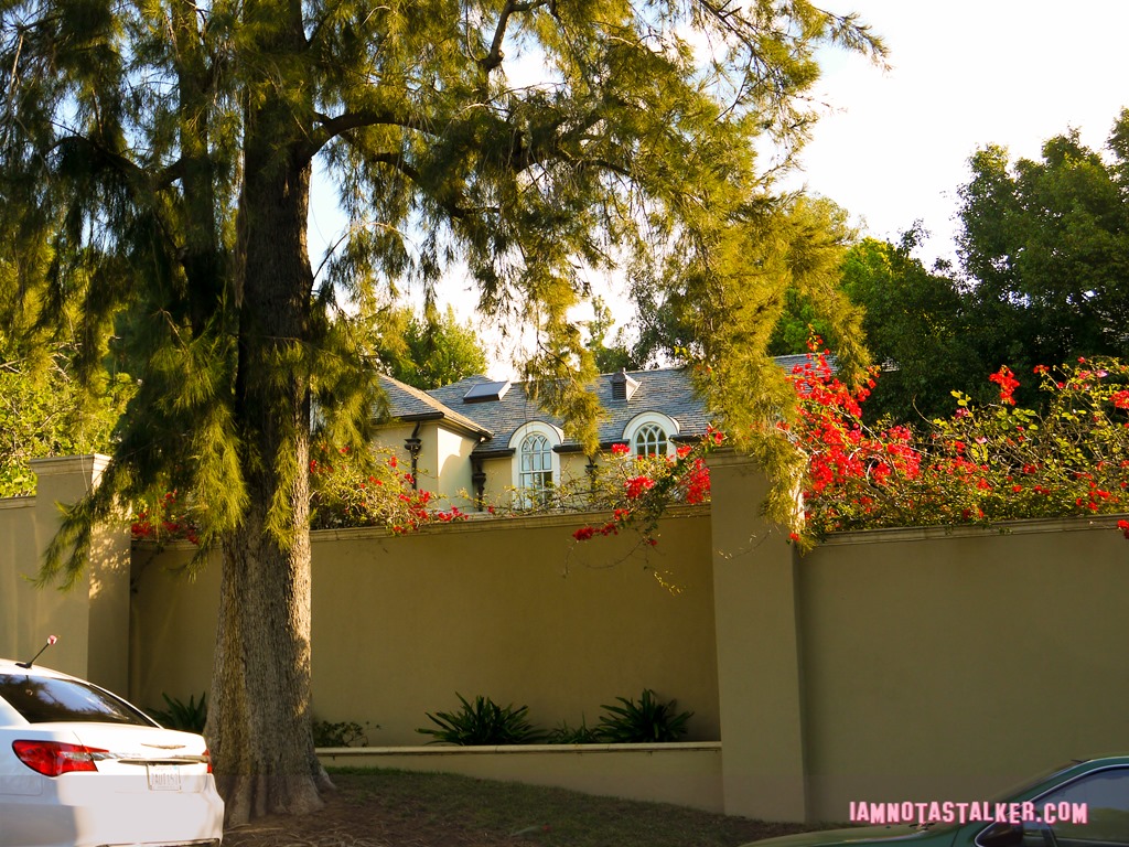 License to Drive Party House (6 of 12)